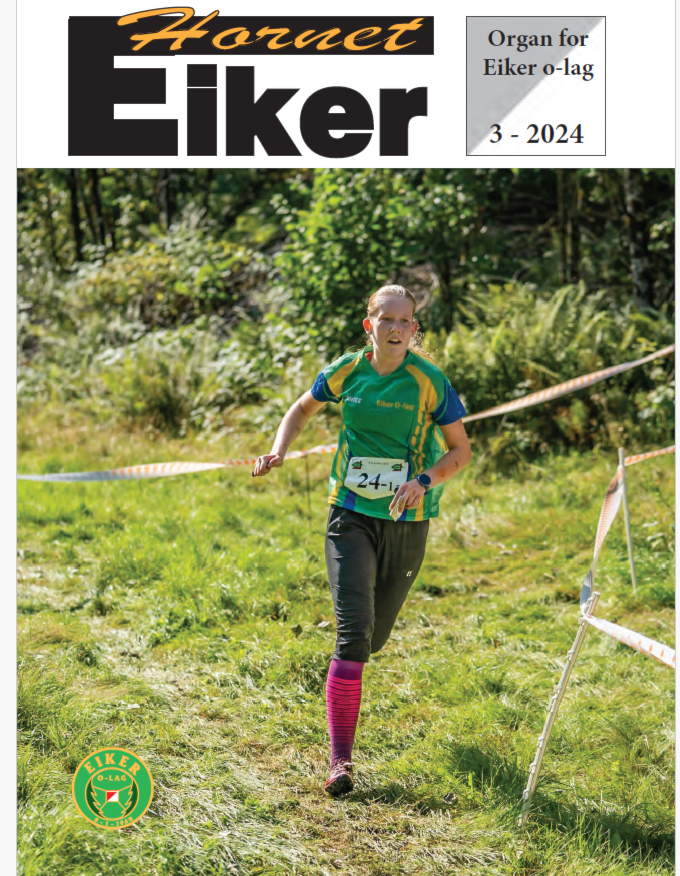 Eikerhornet nr 3